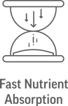 Fast Nutrient Absorption - bionutrica